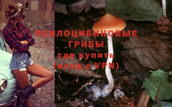 меф Алзамай