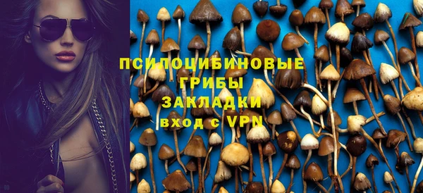 дурь Алексин