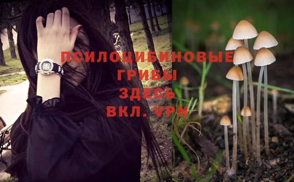 дурь Алексин