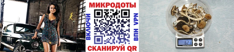 Галлюциногенные грибы прущие грибы  Талица 